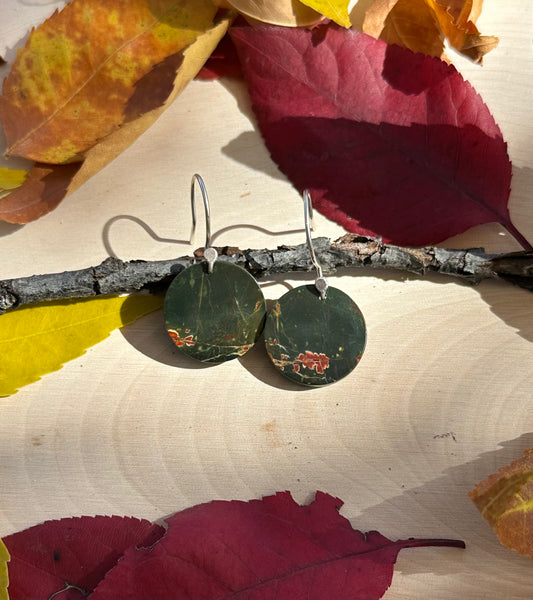 Red Creek Jasper Green Coin