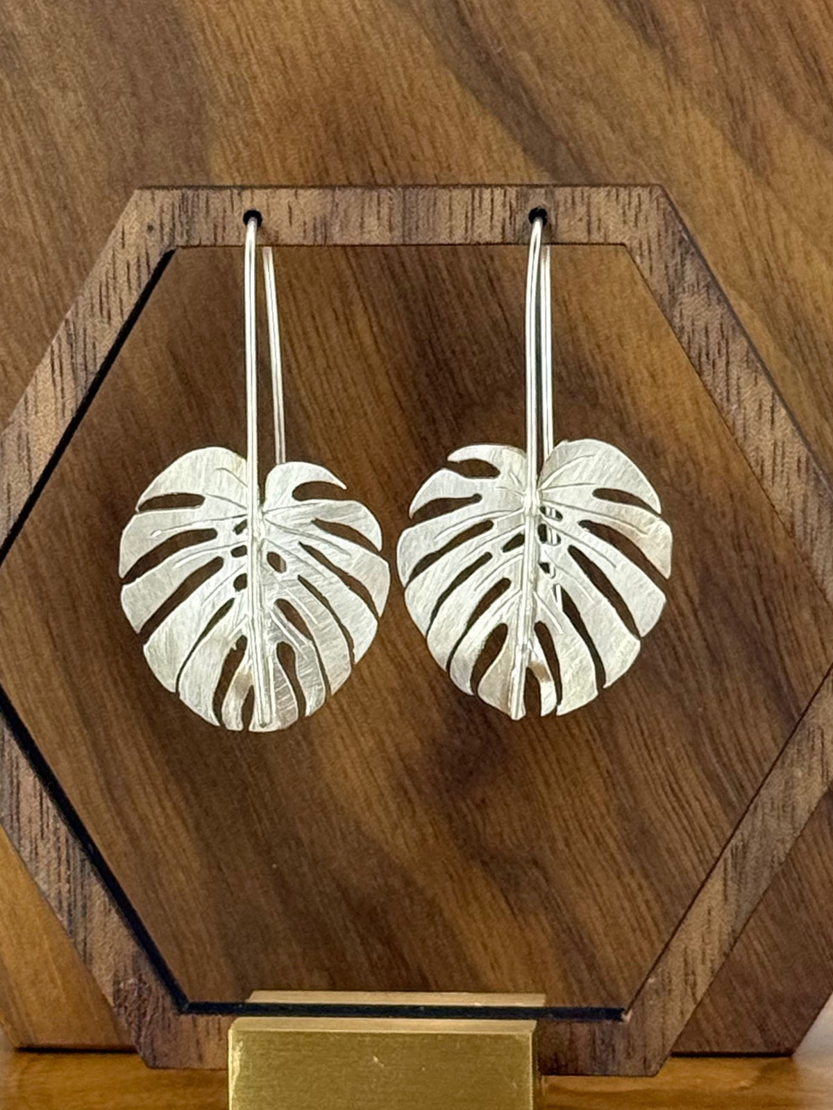 Delicate Monstera Leaves